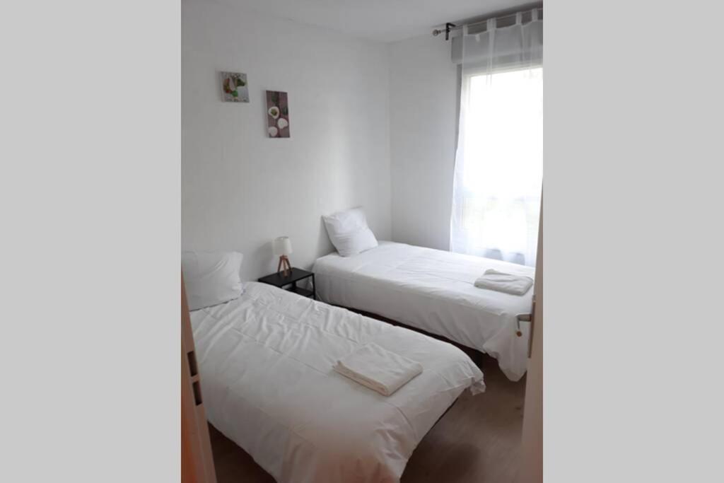 Appartement T3 Spacieux, Renové En 2020 -pkg-métro Toulouse