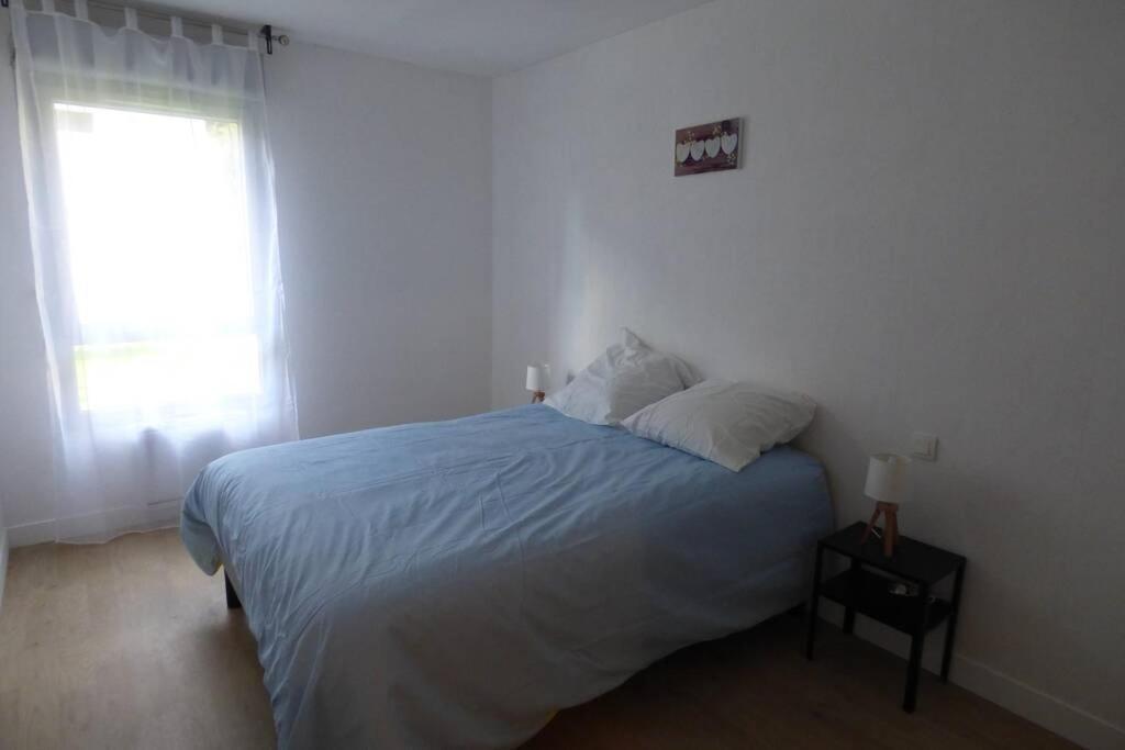 Appartement T3 Spacieux, Renové En 2020 -pkg-métro Toulouse